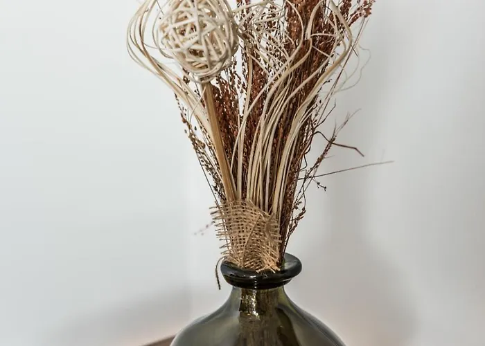 Les Mathurins F2 Unique Terrasse Parking Et Sport Rouen