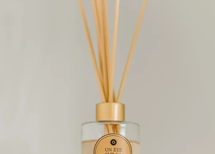 Les Mathurins F2 Unique Terrasse Parking Et Sport Appartement *